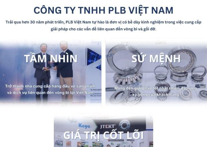 plb-viet-nam2-1747107023.jpg