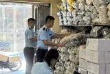 Hà Nội: Phát hiện hơn 1.400 sản phẩm giả nhãn hiệu The North Face, Adidas, Crocs