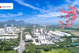 Xi măng Long Sơn – Vững vàng nội lực, lan tỏa giá trị nhân văn đón Xuân Bình Ngọ 2026