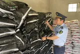 Gia Lai: Xử phạt hơn 152 triệu đồng một doanh nghiệp vi phạm trong kinh doanh phân bón