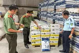 Phát hiện cơ sở sản xuất 46 tấn keo dán gạch, keo chà ron có dấu hiệu xâm phạm quyền sở hữu công nghiệp