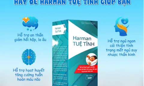 Harman Tuệ Tĩnh – Giải pháp giấc ngủ từ thiên nhiên, nay đã có mặt tại Châu Âu