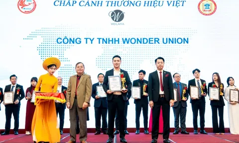 Weilaiya - Top 100 Thương hiệu hàng đầu Việt Nam