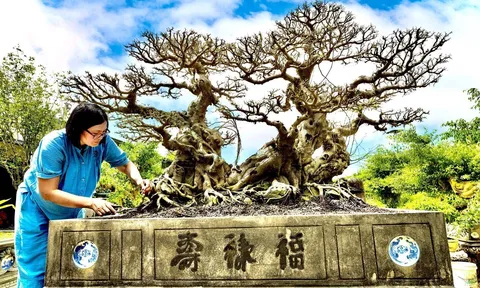 Hà Nội: Tổ chức Festival Sinh Vật Cảnh Hà Nội lần thứ nhất từ ngày 02-18/9/2024