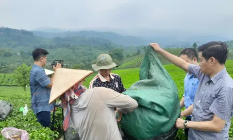 UỶ BAN NHÂN DÂN XÃ PHÚ NHUẬN