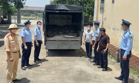 Phát hiện, xử lý 1,3 tấn nội tạng động vật không rõ nguồn gốc xuất xứ tại Nghệ An