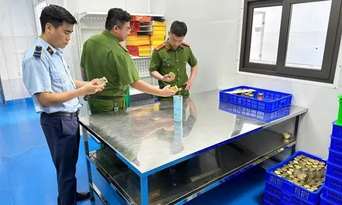 Tạm giữ hơn 23.000 lọ yến chưng để kiểm định chất lượng