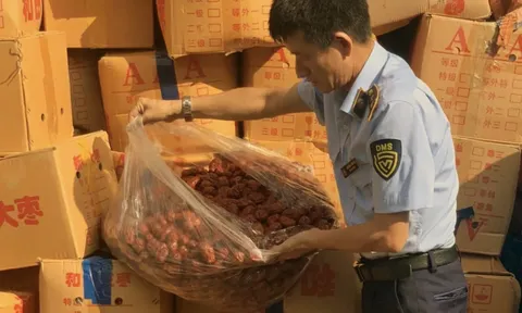 Phát hiện, thu giữ hơn 4 tấn táo đỏ nhập lậu