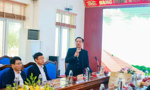 VICEM HOÀNG MAI TIÊN PHONG PHÁT TRIỂN KINH TẾ XANH BỀN VỮNG TRONG NGÀNH XI MĂNG VIỆT NAM