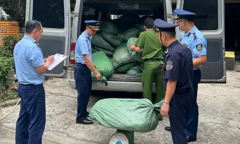 Cao Bằng phát hiện, thu giữ gần 123.000 kg nguyên liệu thuốc lá nhập lậu, không rõ nguồn gốc