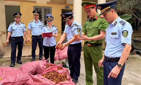 Kế hoạch thực hiện chỉ đạo của Thủ tướng Chính phủ về tiếp tục đấu tranh ngăn chặn, đẩy lùi tình trạng buôn lậu, gian lận thương mại, hàng giả, xâm phạm quyền sở hữu trí tuệ