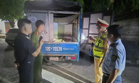 Cao Bằng bắt giữ nhiều xe chở lợn không rõ nguồn gốc, tiềm ẩn nguy cơ dịch bệnh