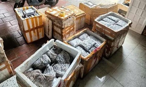 Thanh Hóa tiêu hủy trên 1 tấn thực phẩm không rõ nguồn gốc xuất xứ.