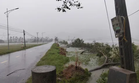 Bão số 5 đổ bộ gây gió mạnh, mưa lớn, Thủ tướng chỉ đạo tập trung ứng phó, bảo đảm an toàn tính mạng Nhân dân