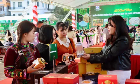 Khai mạc Ngày hội sản phẩm vùng đồng bào dân tộc thiểu số và miền núi phía Bắc tại Lai Châu