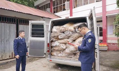 Cao Bằng: Kiểm tra, xử lý gần 2,3 tấn lá cây thuốc lá khô không rõ nguồn gốc, xuất xứ