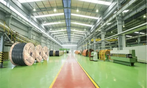 CADI-SUN tăng tốc sản xuất, hướng tới mục tiêu tăng trưởng năm 2026