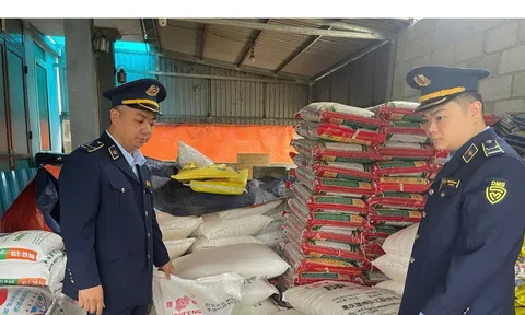 Cao Bằng: Thu giữ 2,5 tấn phân đạm nhập lậu – Cảnh báo hệ lụy đối với thị trường và doanh nghiệp chân chính