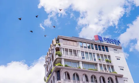 ĐỔI MỚI SÁNG TẠO TRONG QUẢN LÝ DOANH NGHIỆP TẠI TẬP ĐOÀN ĐÈO CẢ: ĐỘNG LỰC NỘI SINH VÀ THÁCH THỨC THỂ CHẾ