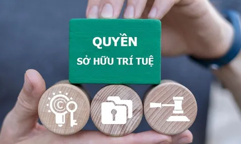 Cao điểm chống hàng giả: Siết kiểm tra hàng hóa xâm phạm sở hữu trí tuệ