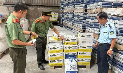 Phát hiện cơ sở sản xuất 46 tấn keo dán gạch, keo chà ron có dấu hiệu xâm phạm quyền sở hữu công nghiệp