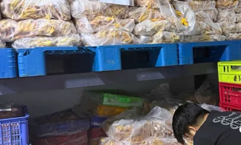 Phát hiện gần 8 tấn chân gà không rõ nguồn gốc, hết hạn sử dụng tại TP. Đồng Nai