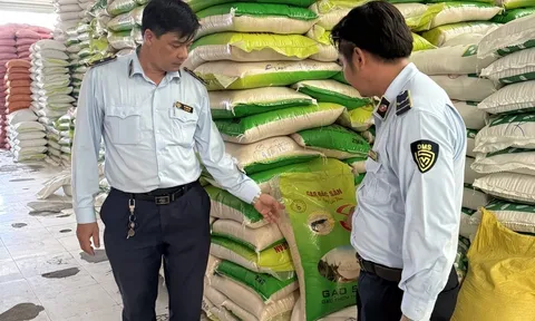 Phát hiện nhiều vi phạm trong hoạt động kinh doanh tại 01 cơ sở kinh doanh gạo tại Cà Mau