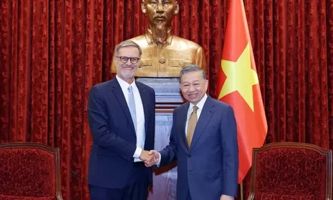Tổng Bí thư, Chủ tịch nước Tô Lâm tiếp Đại sứ Pháp tại Việt Nam đến chào từ biệt