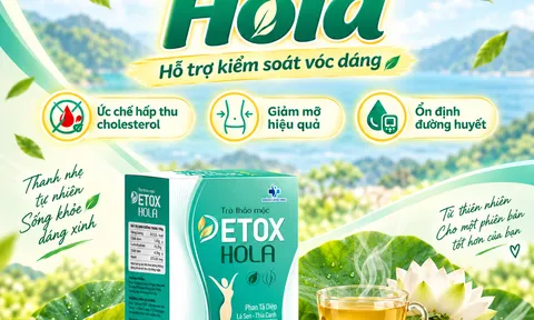 Trà thảo mộc Hola – Xu hướng lựa chọn thảo dược hỗ trợ tiêu hóa và kiểm soát vóc dáng