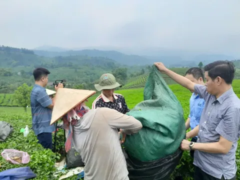UỶ BAN NHÂN DÂN XÃ PHÚ NHUẬN
