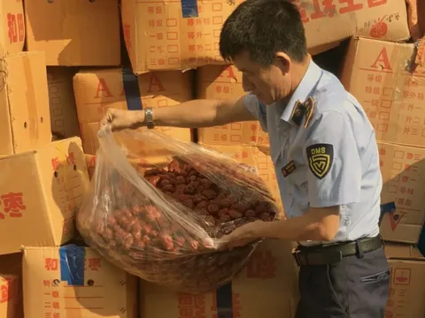 Phát hiện, thu giữ hơn 4 tấn táo đỏ nhập lậu