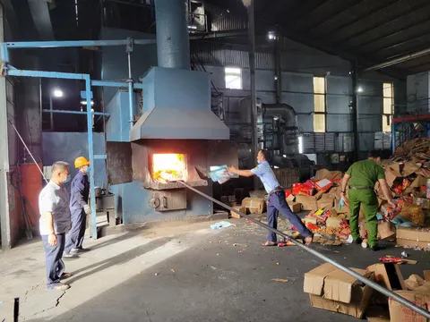 Phú Yên giám sát tiêu hủy lô hàng vi phạm trị giá hơn 2,5 tỷ đồng