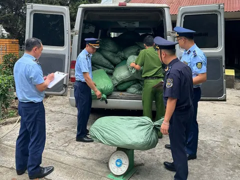 Cao Bằng phát hiện, thu giữ gần 123.000 kg nguyên liệu thuốc lá nhập lậu, không rõ nguồn gốc