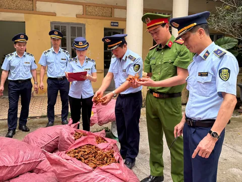 Kế hoạch thực hiện chỉ đạo của Thủ tướng Chính phủ về tiếp tục đấu tranh ngăn chặn, đẩy lùi tình trạng buôn lậu, gian lận thương mại, hàng giả, xâm phạm quyền sở hữu trí tuệ