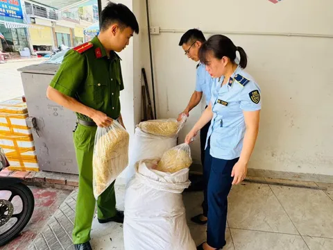 Phát hiện, thu giữ 100 kg ruốc gà không rõ nguồn gốc
