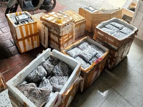 Thanh Hóa tiêu hủy trên 1 tấn thực phẩm không rõ nguồn gốc xuất xứ.