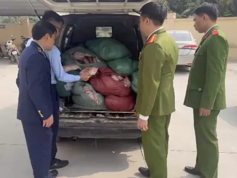 Ngăn chặn vụ vận chuyển trên 800kg chân gà bẩn trong ngày đầu năm 2026Ngăn chặn vụ vận chuyển trên 800kg chân gà bẩn trong ngày đầu năm 2026