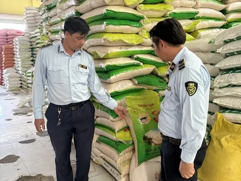 Phát hiện nhiều vi phạm trong hoạt động kinh doanh tại 01 cơ sở kinh doanh gạo tại Cà Mau