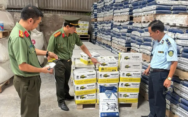 Phát hiện cơ sở sản xuất 46 tấn keo dán gạch, keo chà ron có dấu hiệu xâm phạm quyền sở hữu công nghiệp