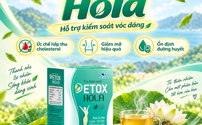 Trà thảo mộc Hola – Xu hướng lựa chọn thảo dược hỗ trợ tiêu hóa và kiểm soát vóc dáng